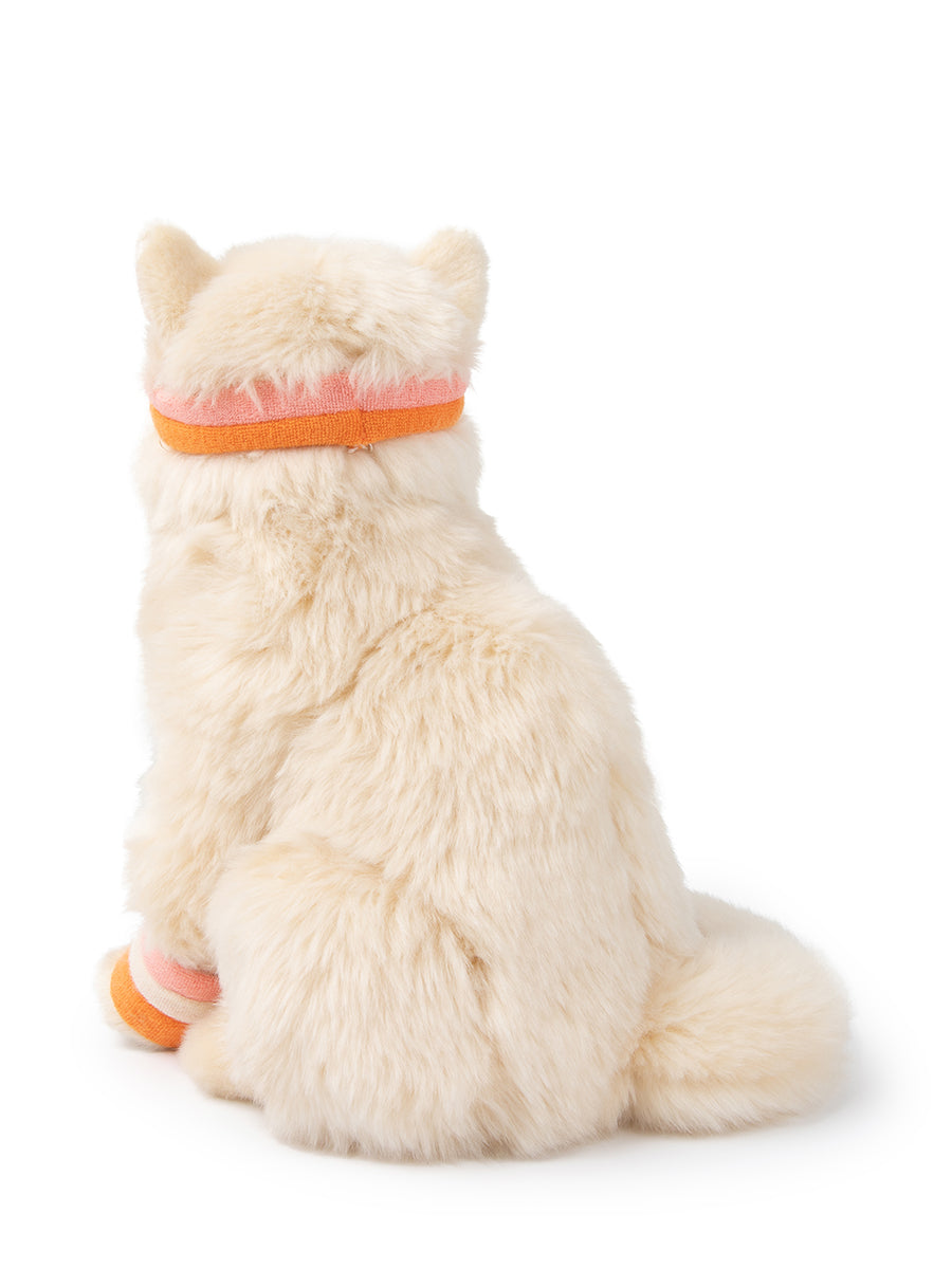 Dolly the Ragdoll