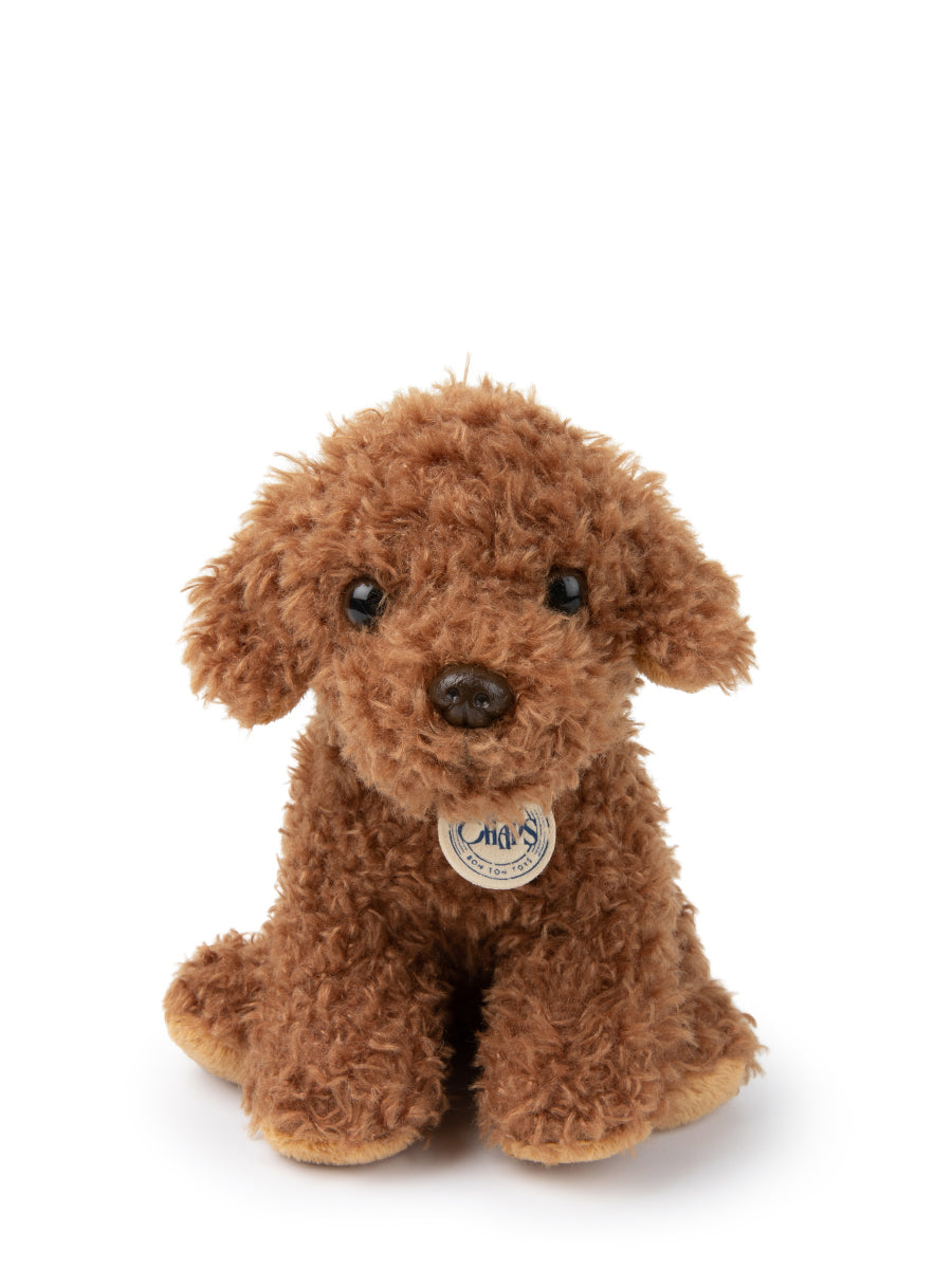 Stacy the Labradoodle in giftbox