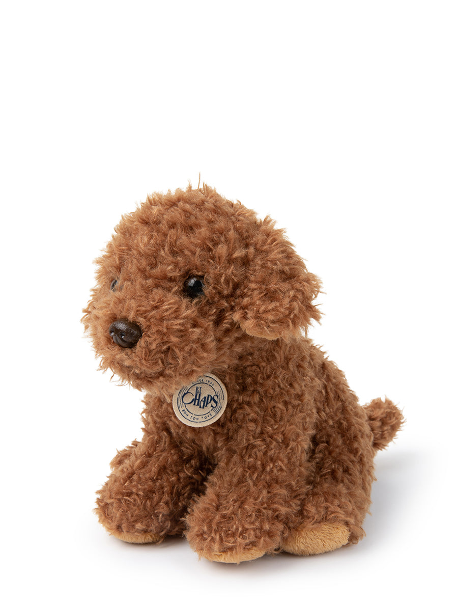 Stacy the Labradoodle in giftbox
