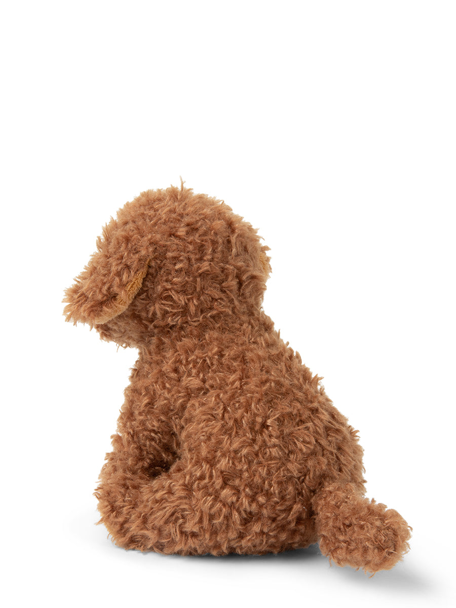 Stacy the Labradoodle in giftbox