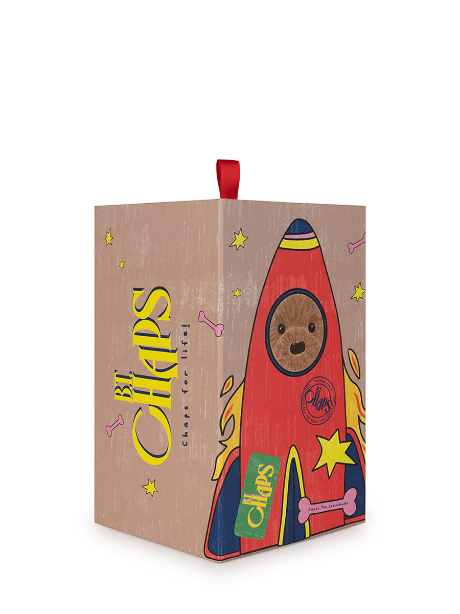 Stacy the Labradoodle in giftbox