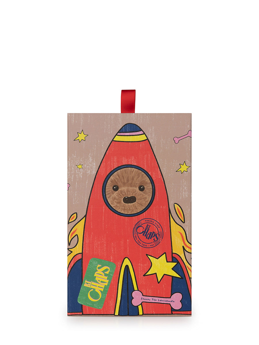Stacy the Labradoodle in giftbox