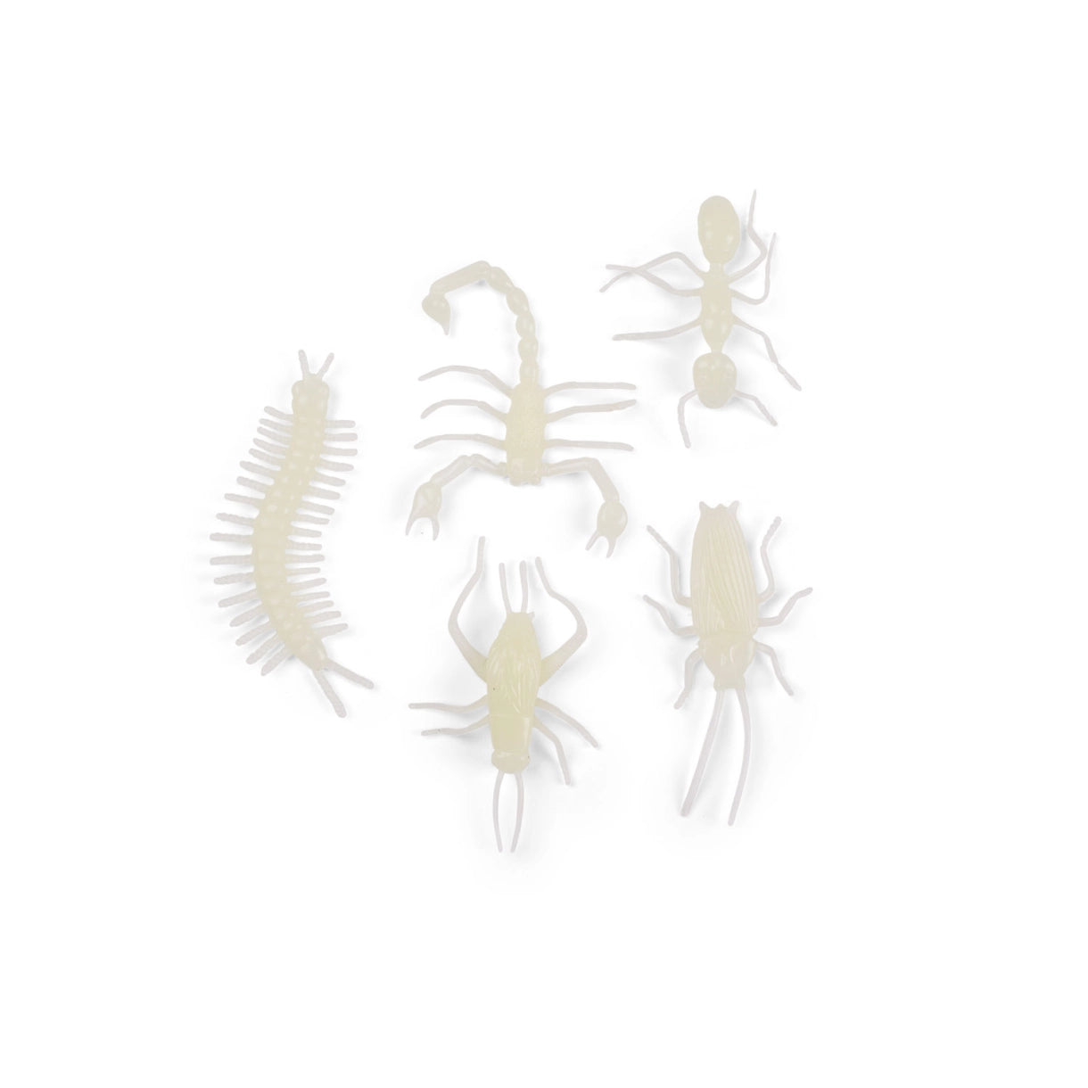 Insekter - Lyser i mørke - Les Petites Merveilles