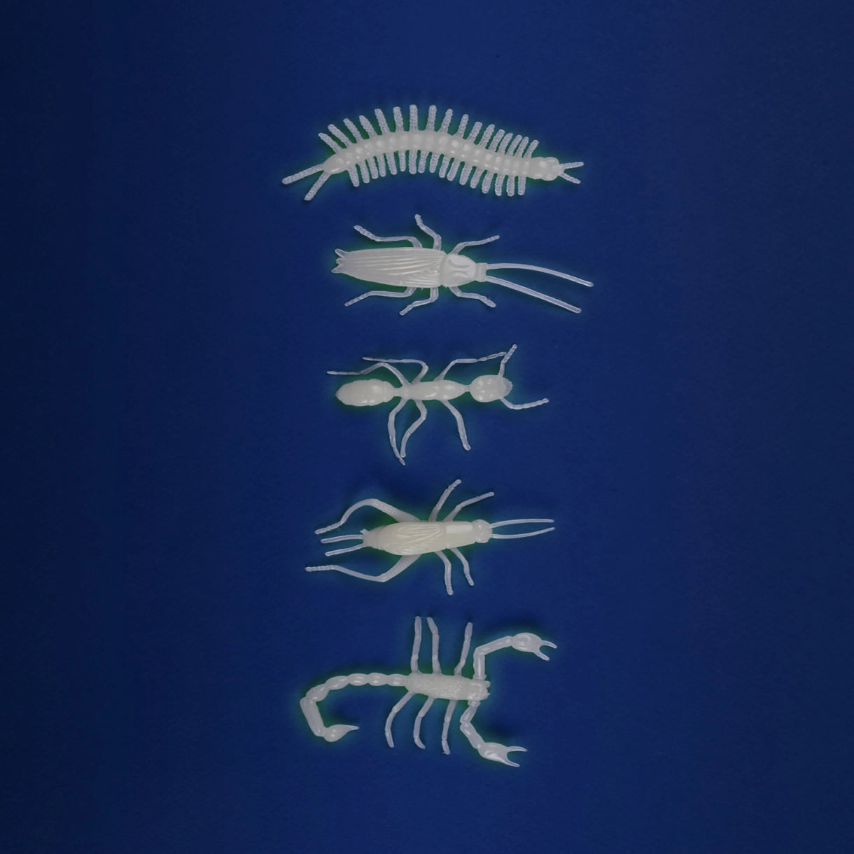 Insekter - Lyser i mørke - Les Petites Merveilles
