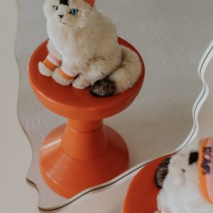 Dolly the Ragdoll