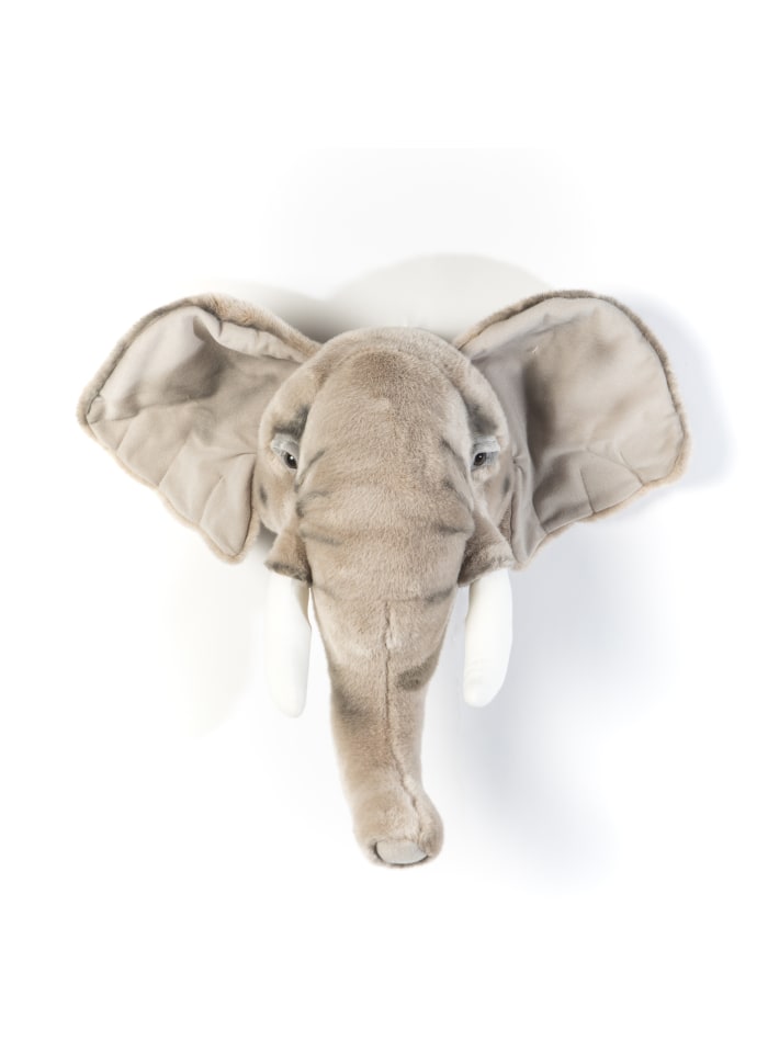 Dyretrofæ Elefant
