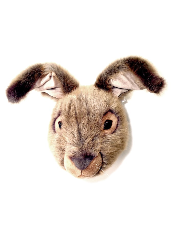 Dyretrofæ Hare