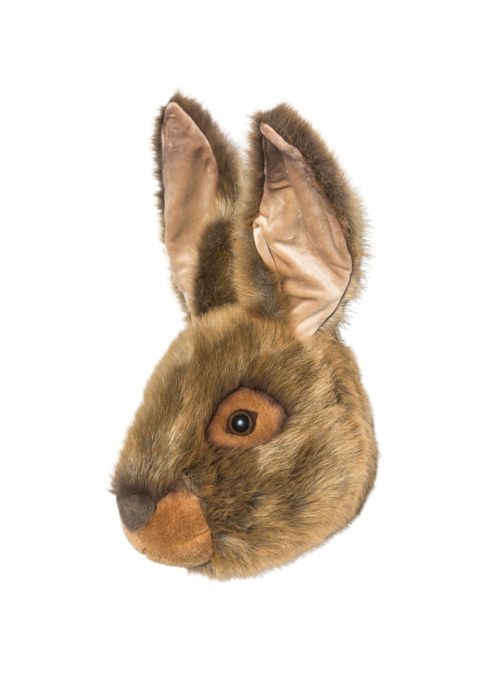 Dyretrofæ Hare