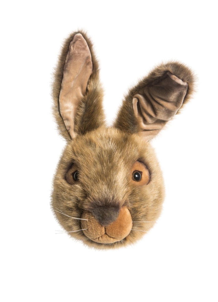 Dyretrofæ Hare