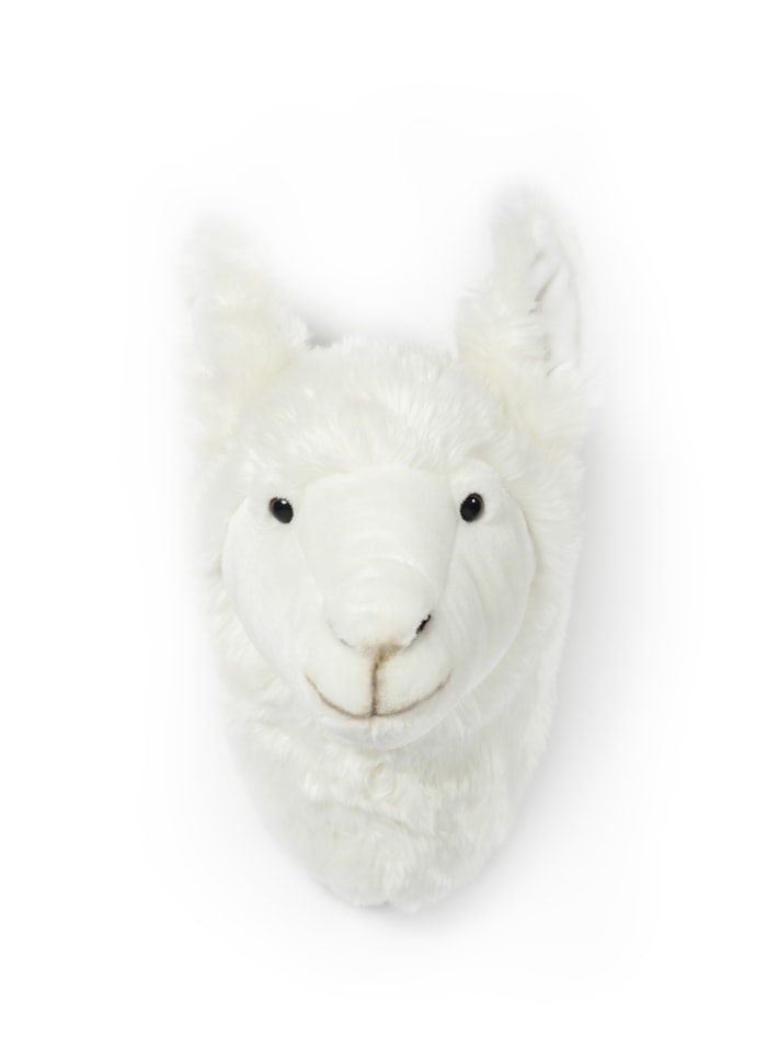 Dyretrofæ Lama
