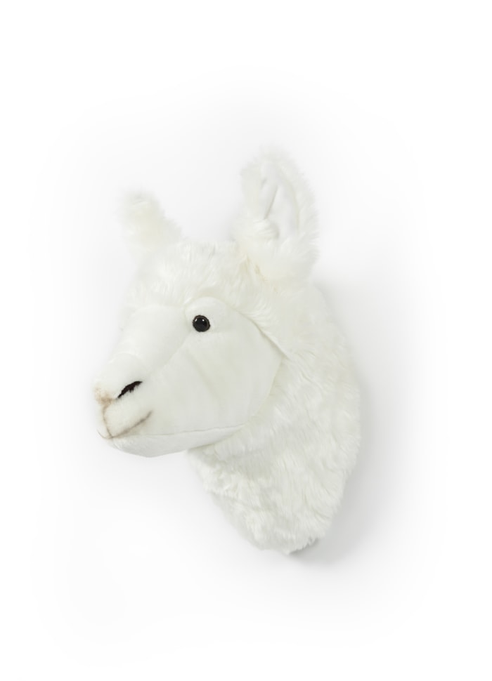 Dyretrofæ Lama