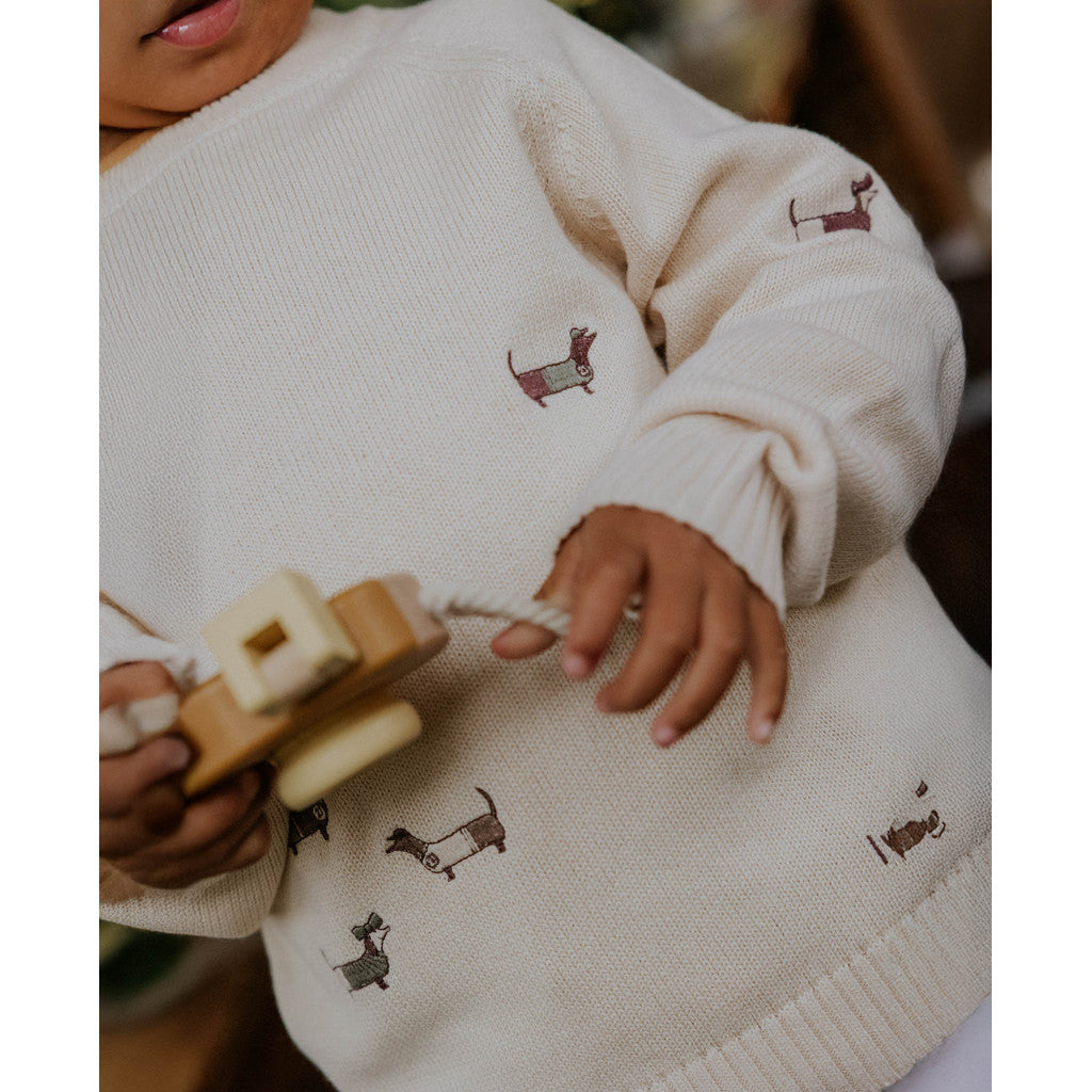 FLIINK STRIK - MAHDI DOG PULLOVER