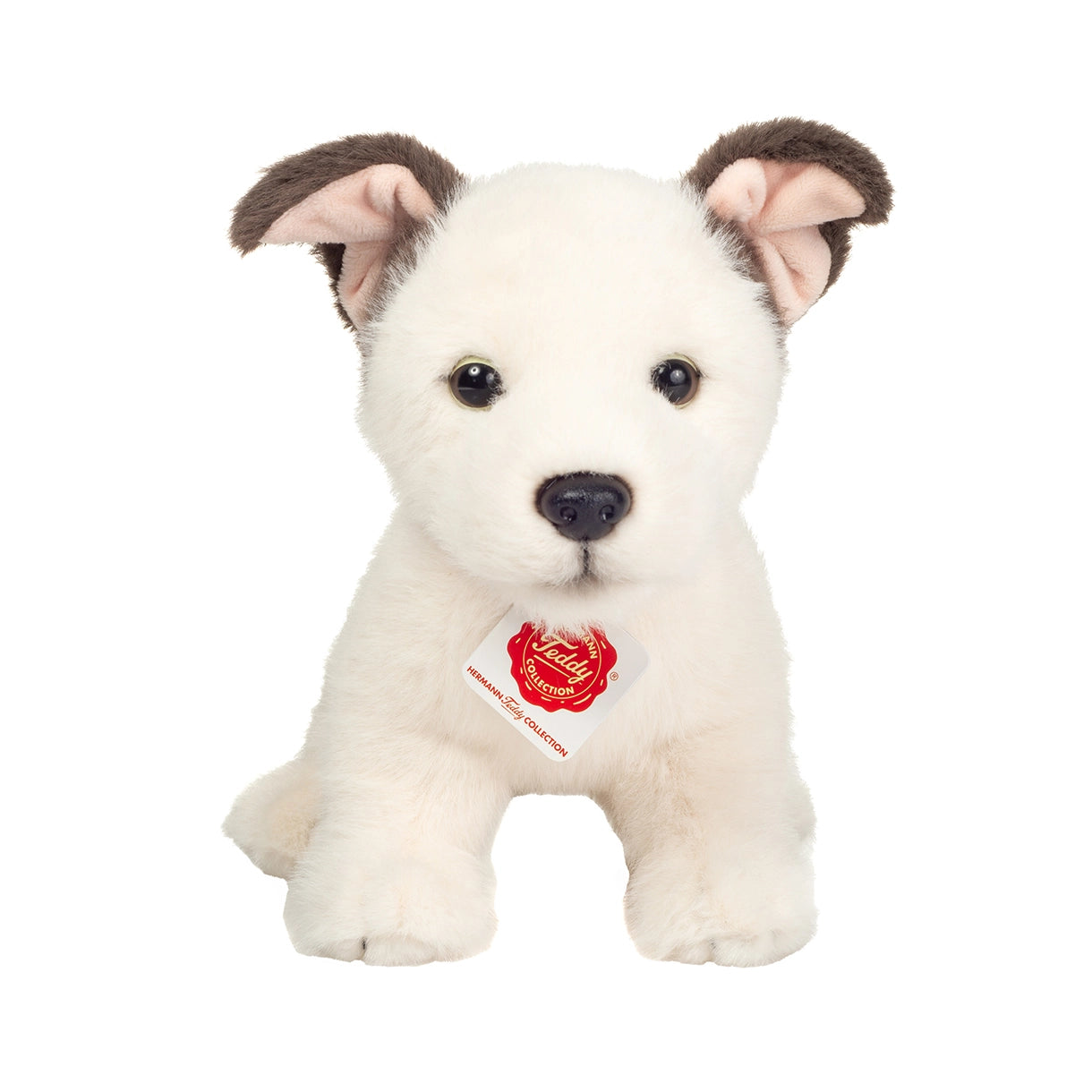 Jack Russell hvalp 25 cm - Bamse