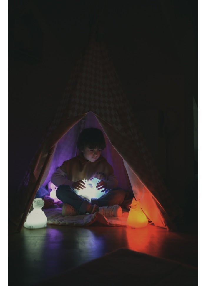 KIDYNIGHT-DINO Natlampe