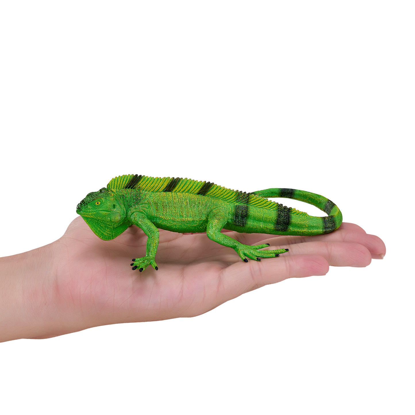Mojo Leguan