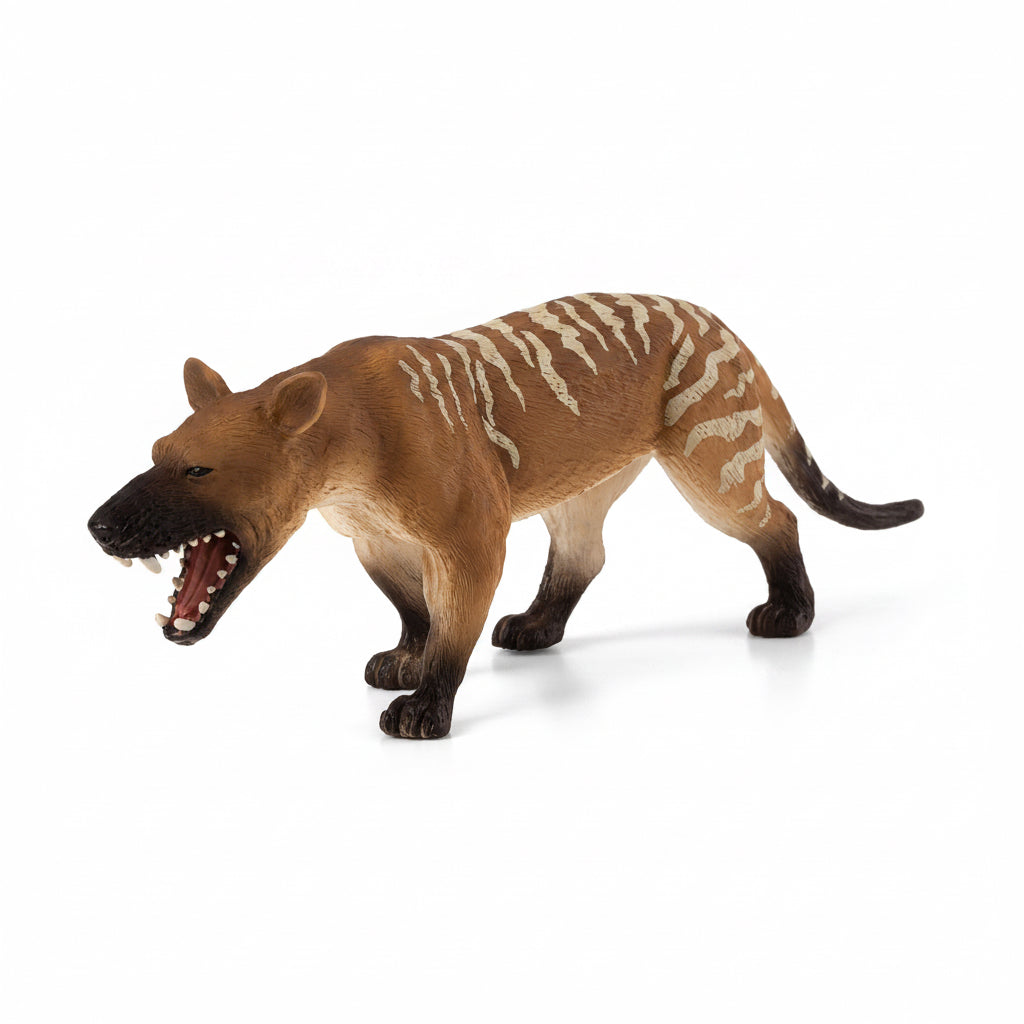 Mojo Hyaenodon Gigas