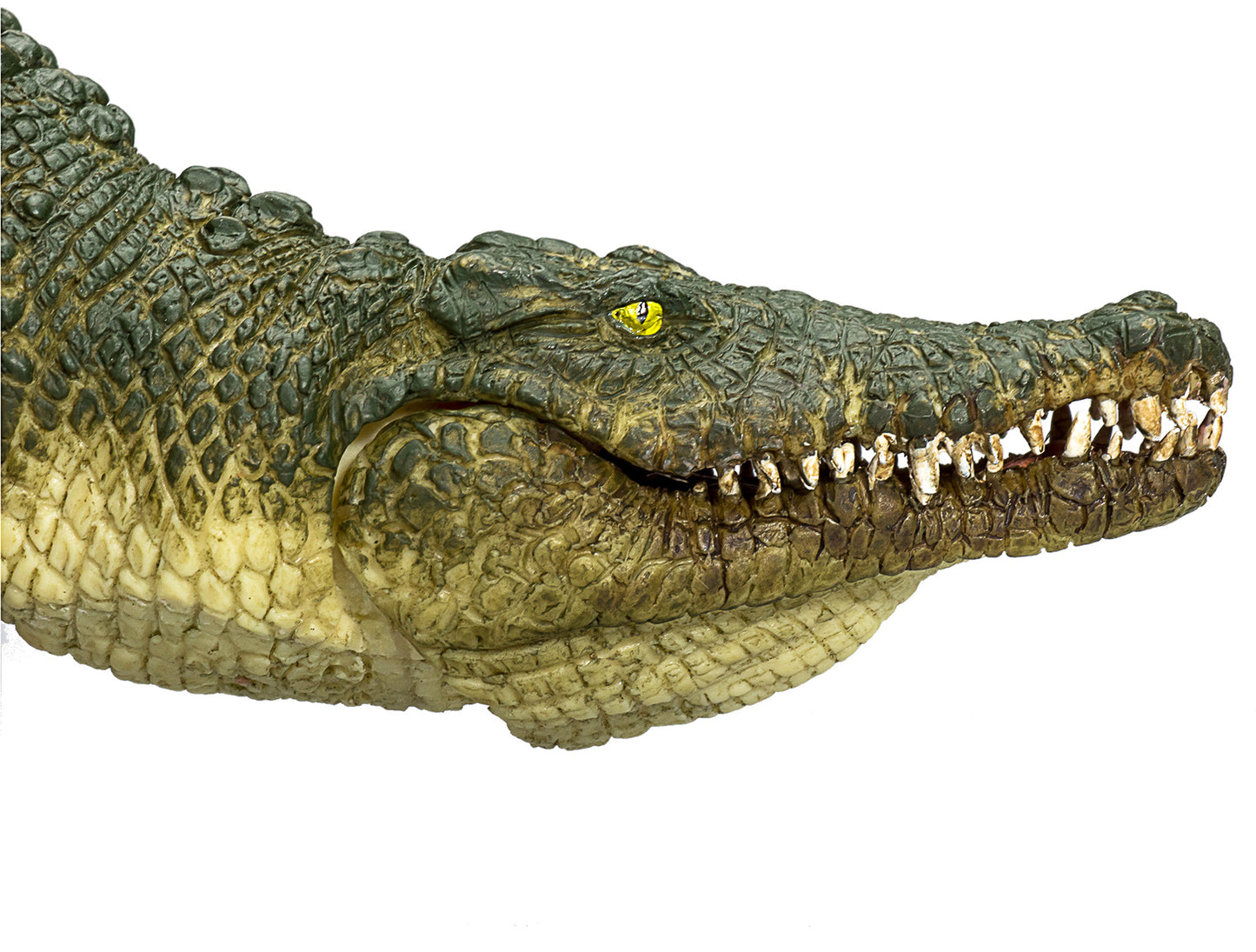 Mojo Krokodille