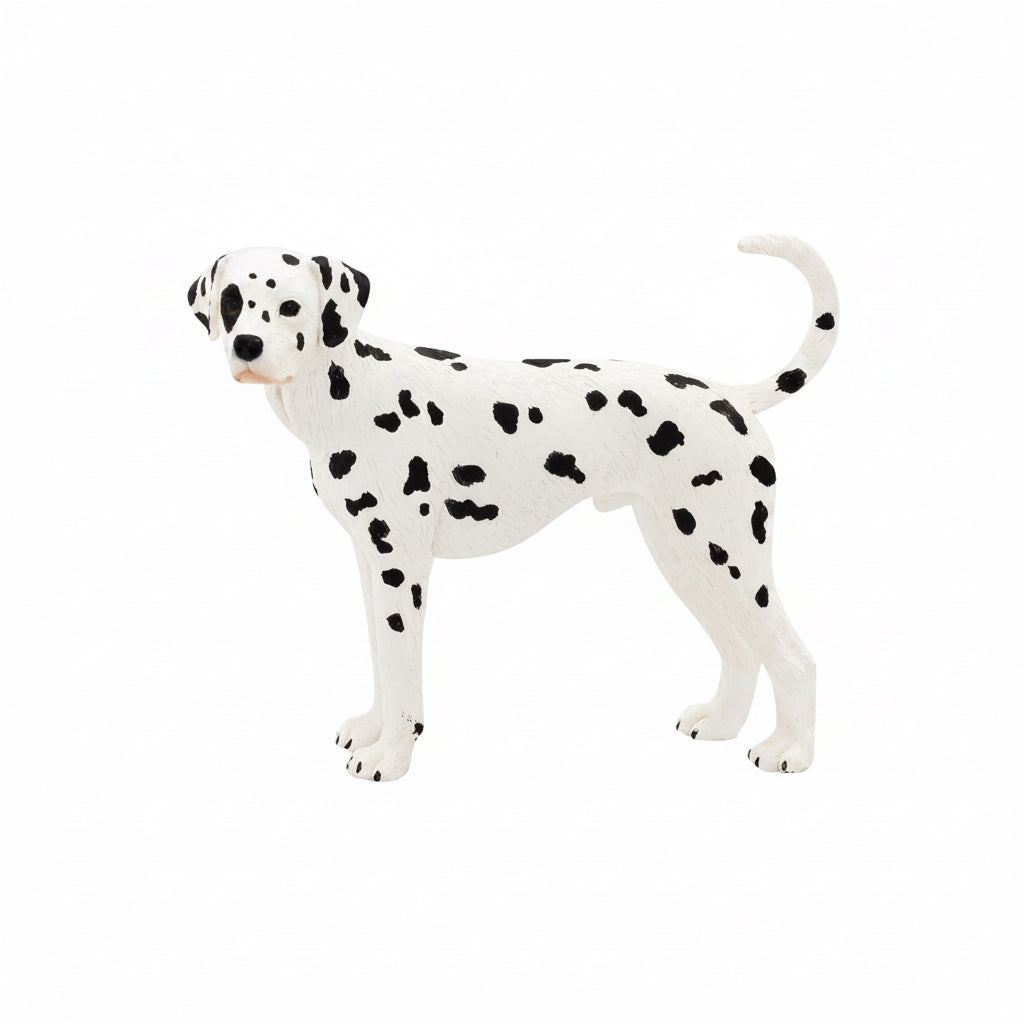 Mojo Dalmatiner hund