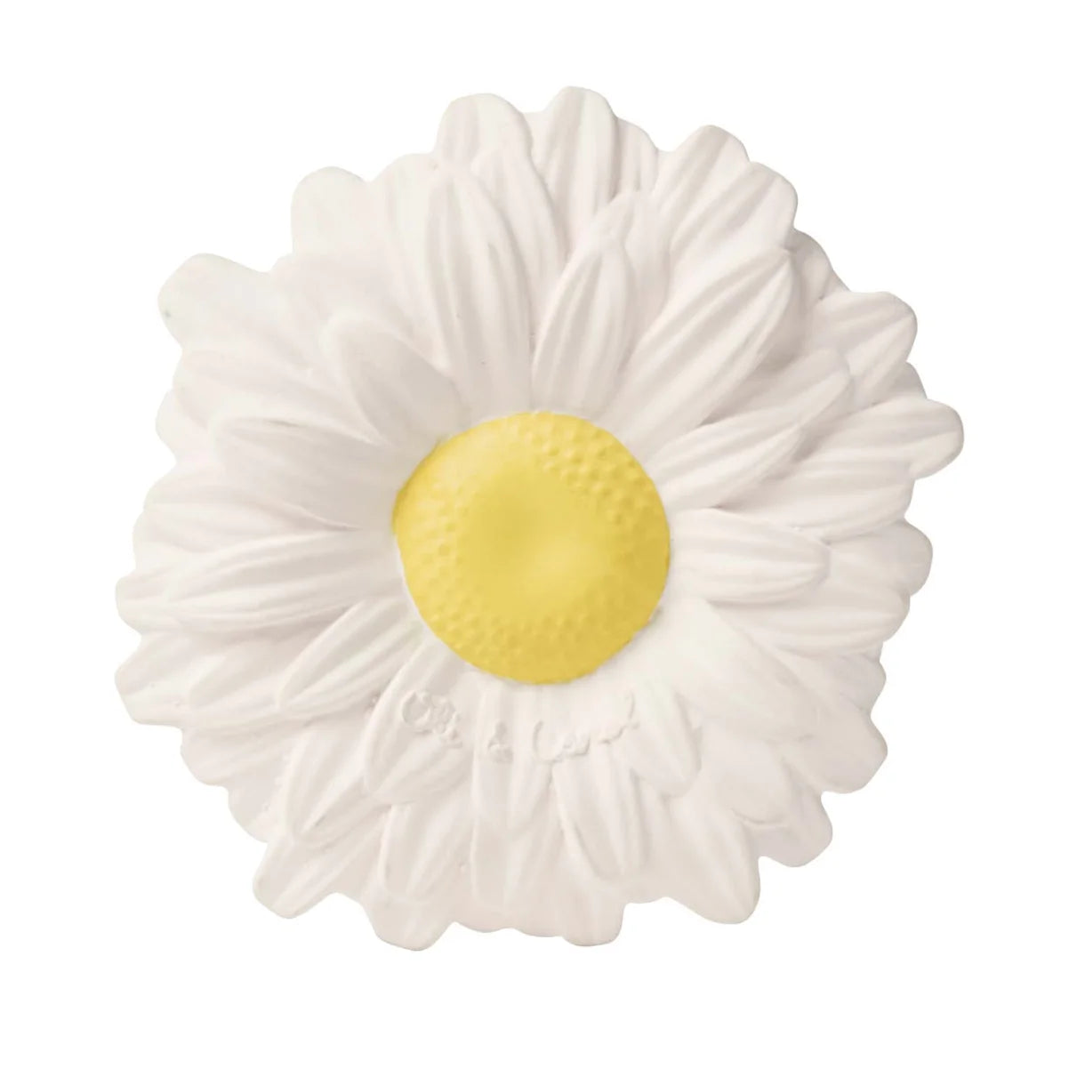 Magarita the Daisy