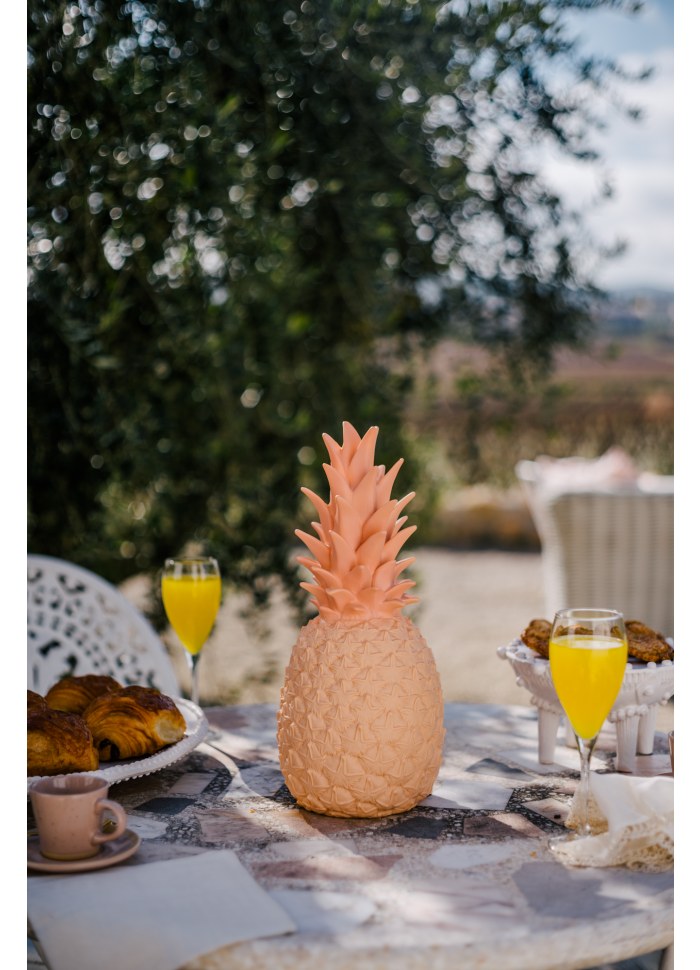 The Piñacolada lamp - Blush