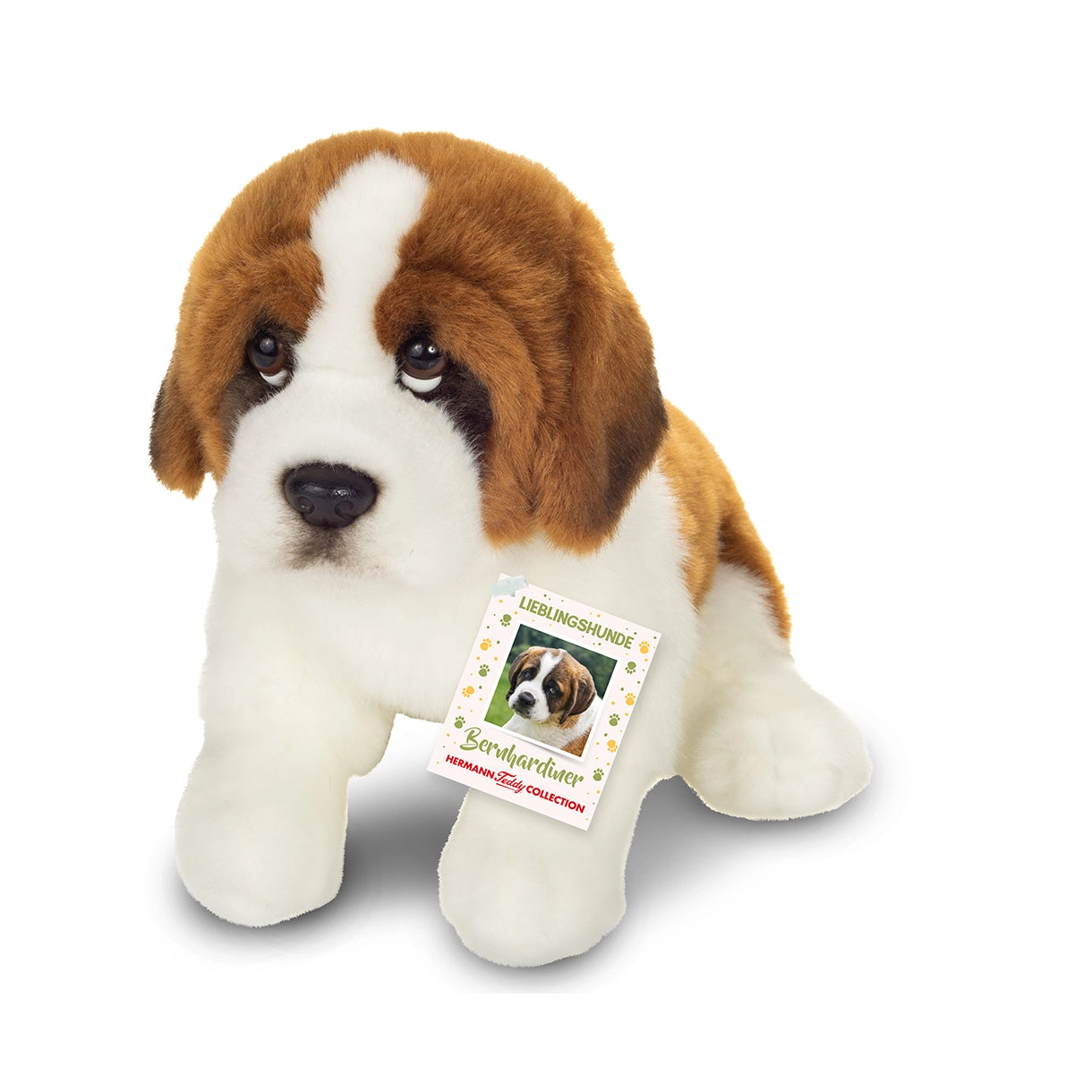 Siddende Sankt Bernhard 25 cm