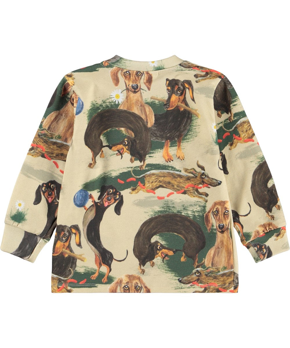 Trøje - Eloy - Painted Dogs