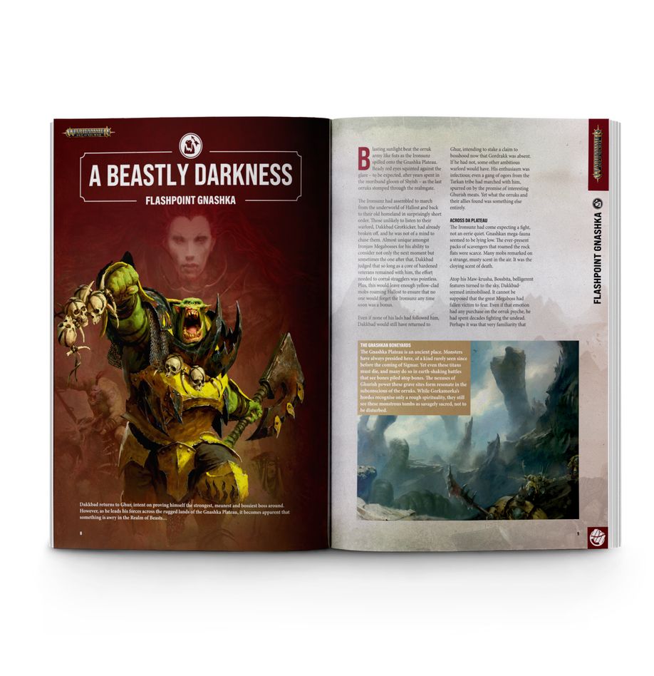 WHITE DWARF 511