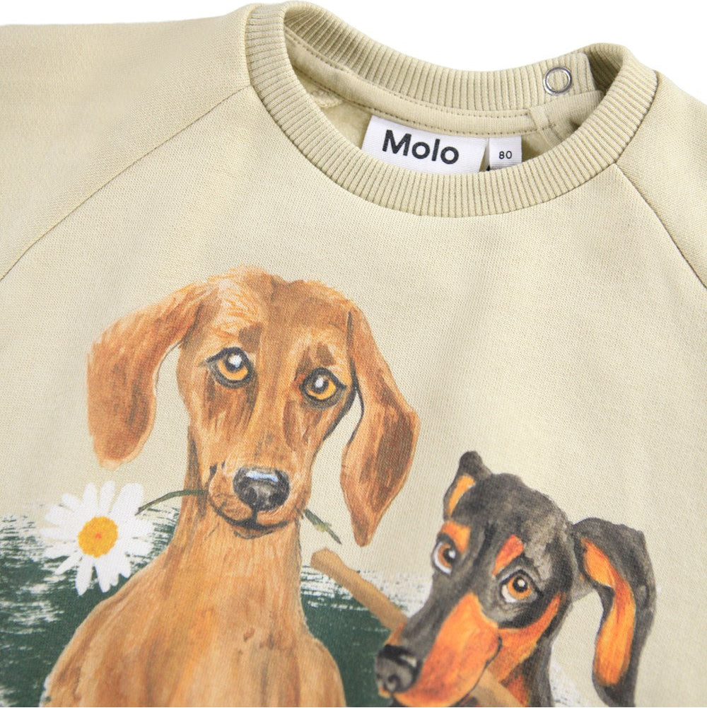 Sweatshirt - Disc - Doggy Portrait