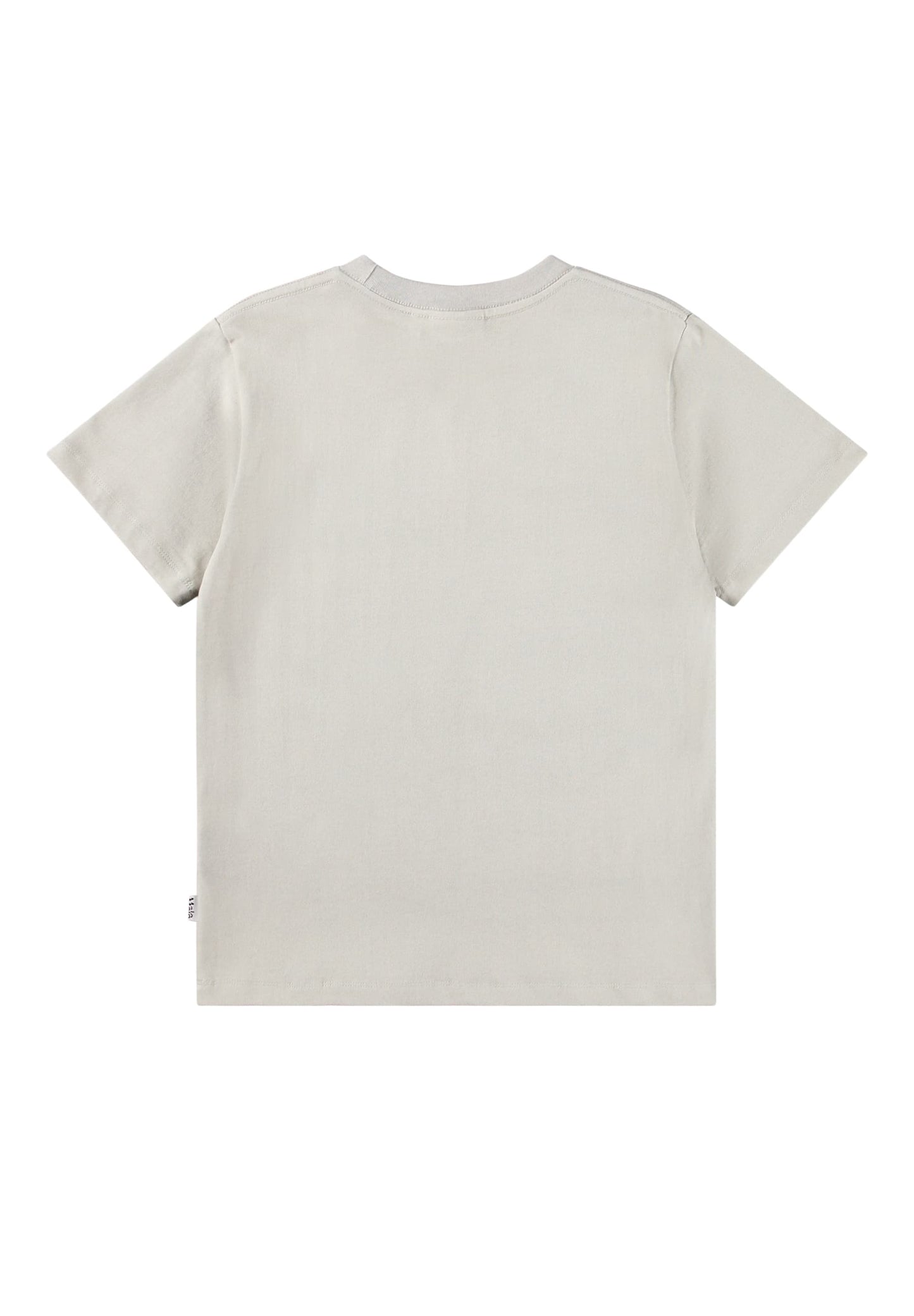 T-shirt - Riley CurioCity Dogs - Molo