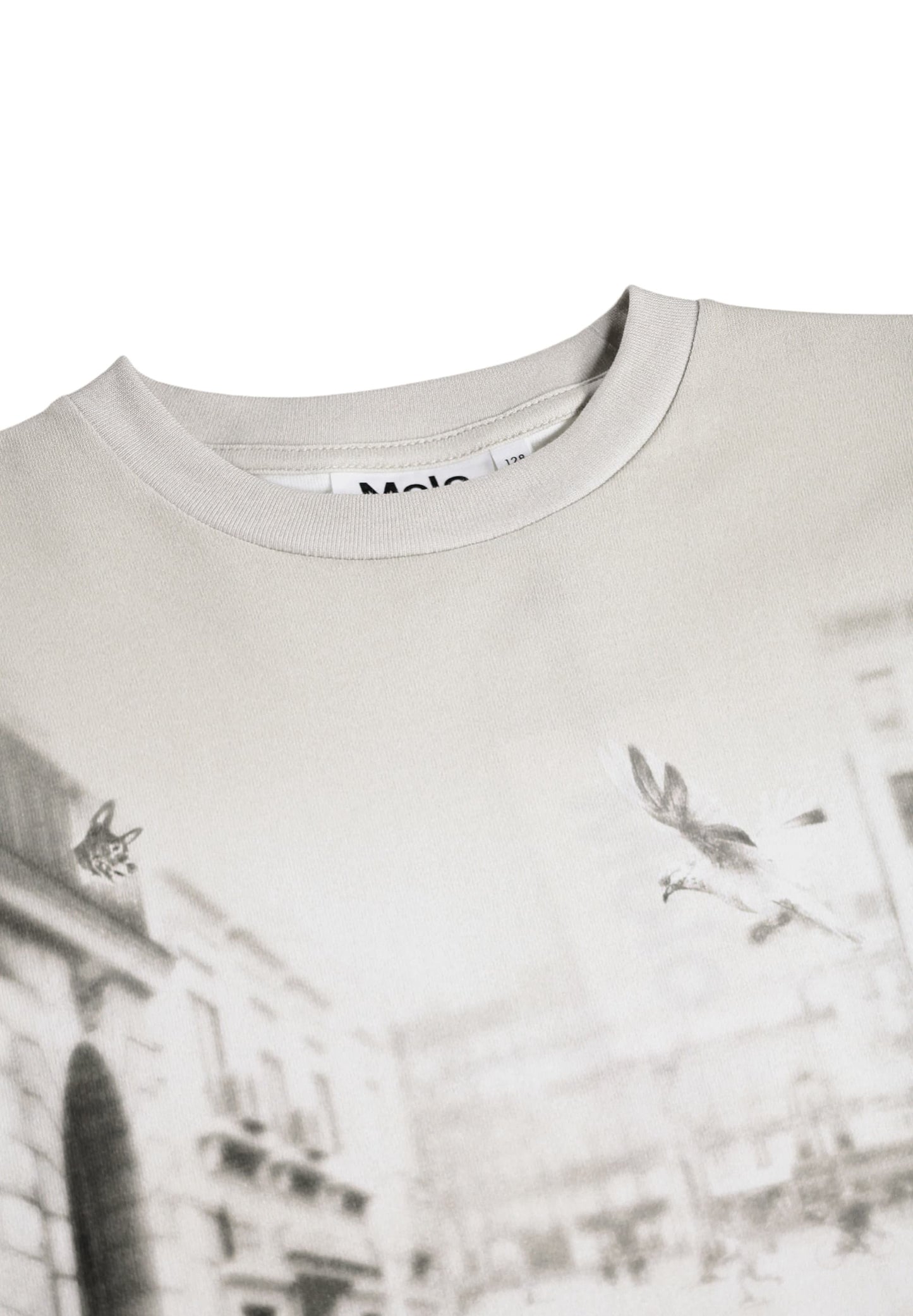T-shirt - Riley CurioCity Dogs - Molo