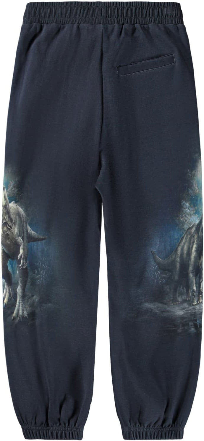MOLO Bukser - Aimon Twilight Dinos