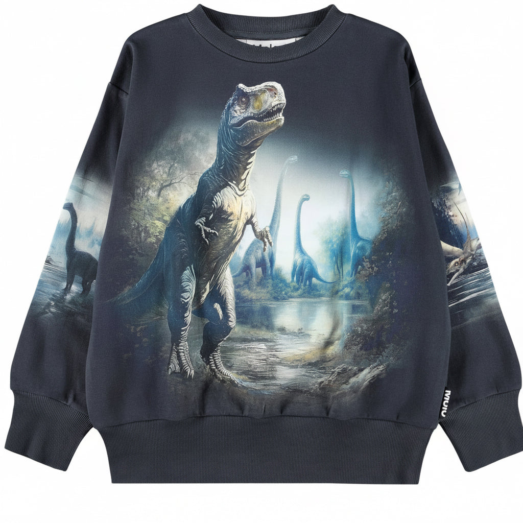 MOLO Sweatshirt - Mattis Twilight Dinos