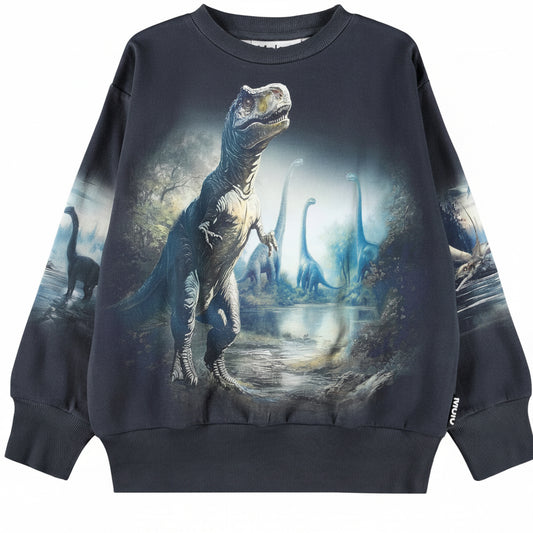 MOLO Sweatshirt - Mattis Twilight Dinos