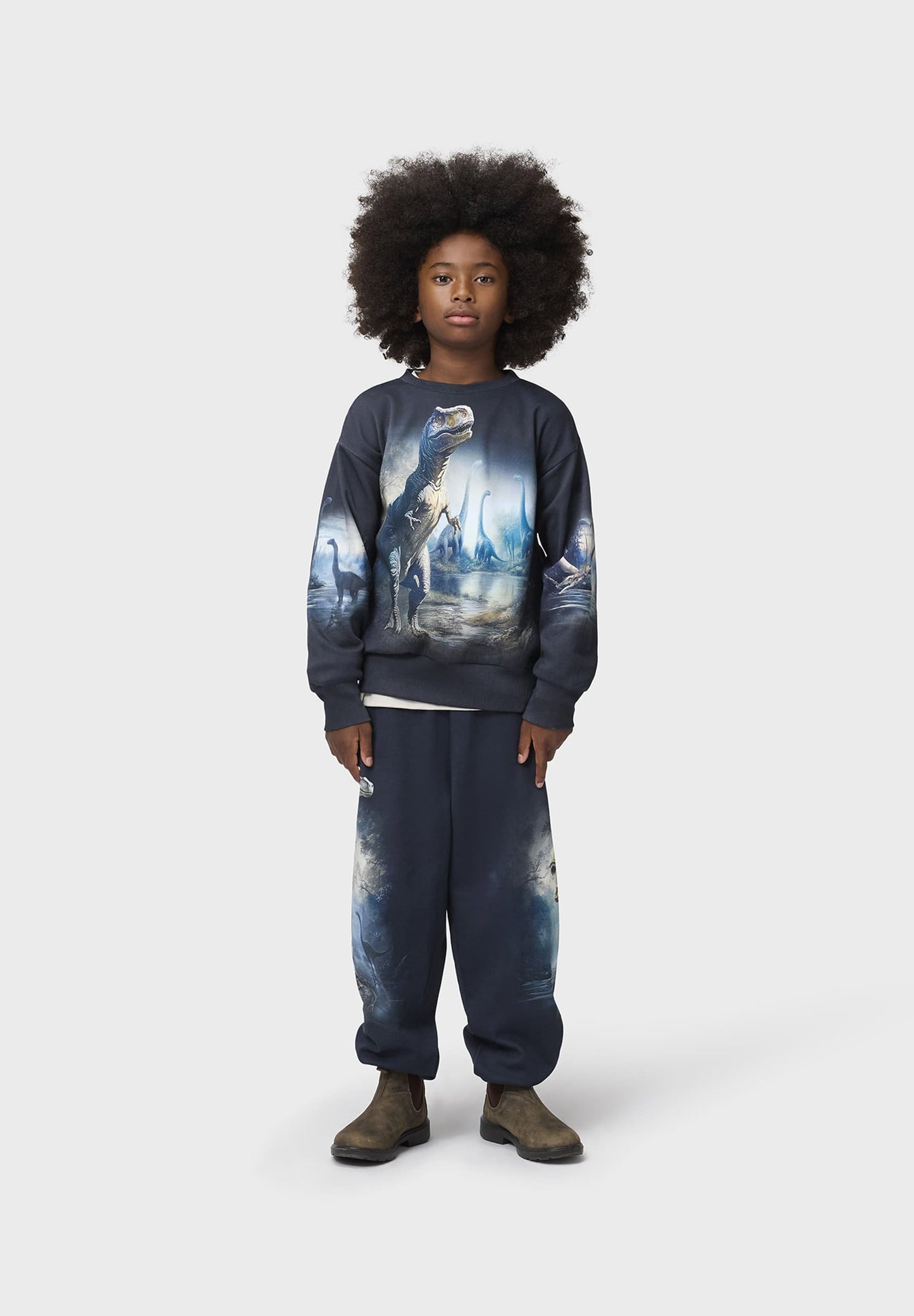 MOLO Sweatshirt - Mattis Twilight Dinos