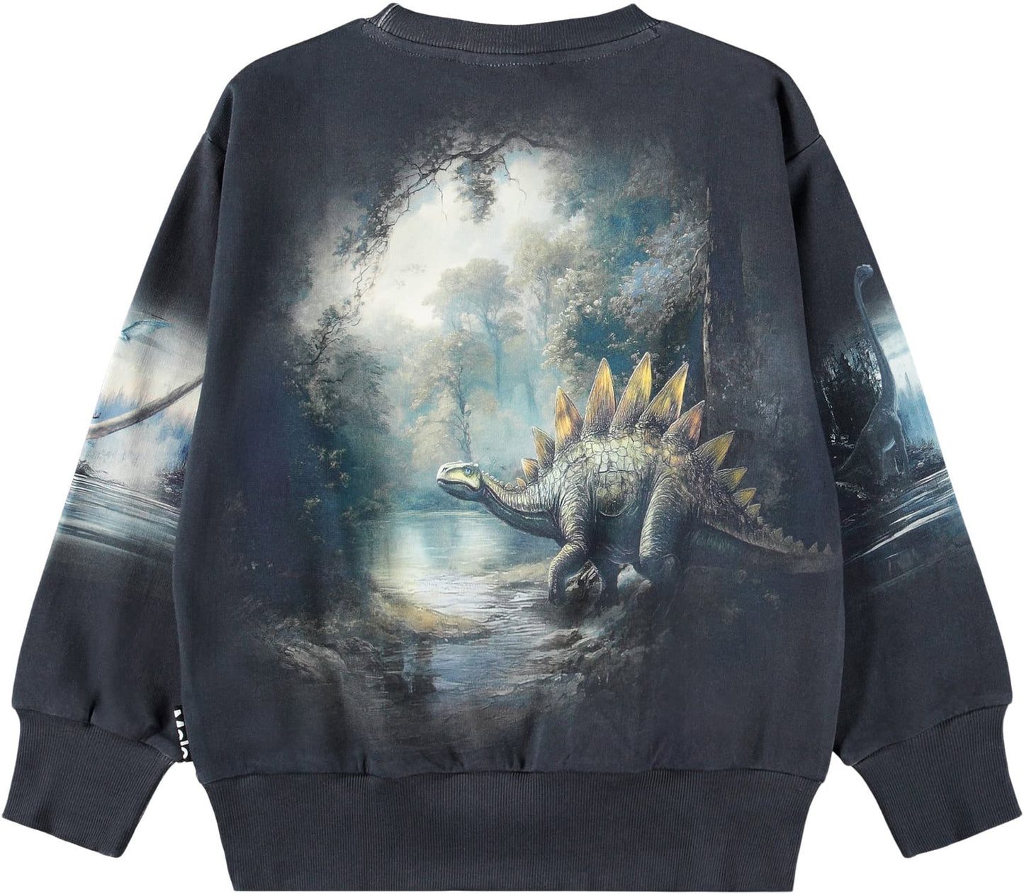MOLO Sweatshirt - Mattis Twilight Dinos