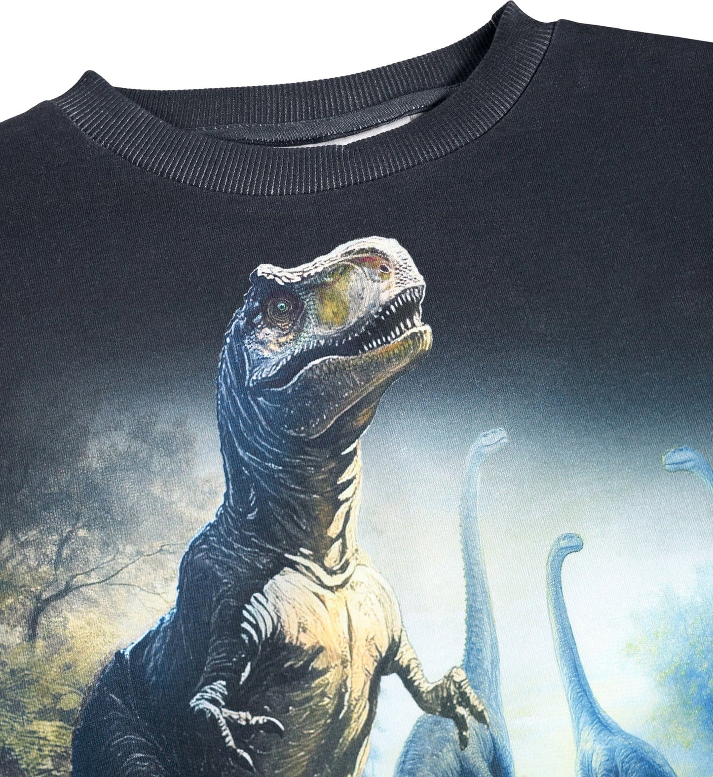 MOLO Sweatshirt - Mattis Twilight Dinos