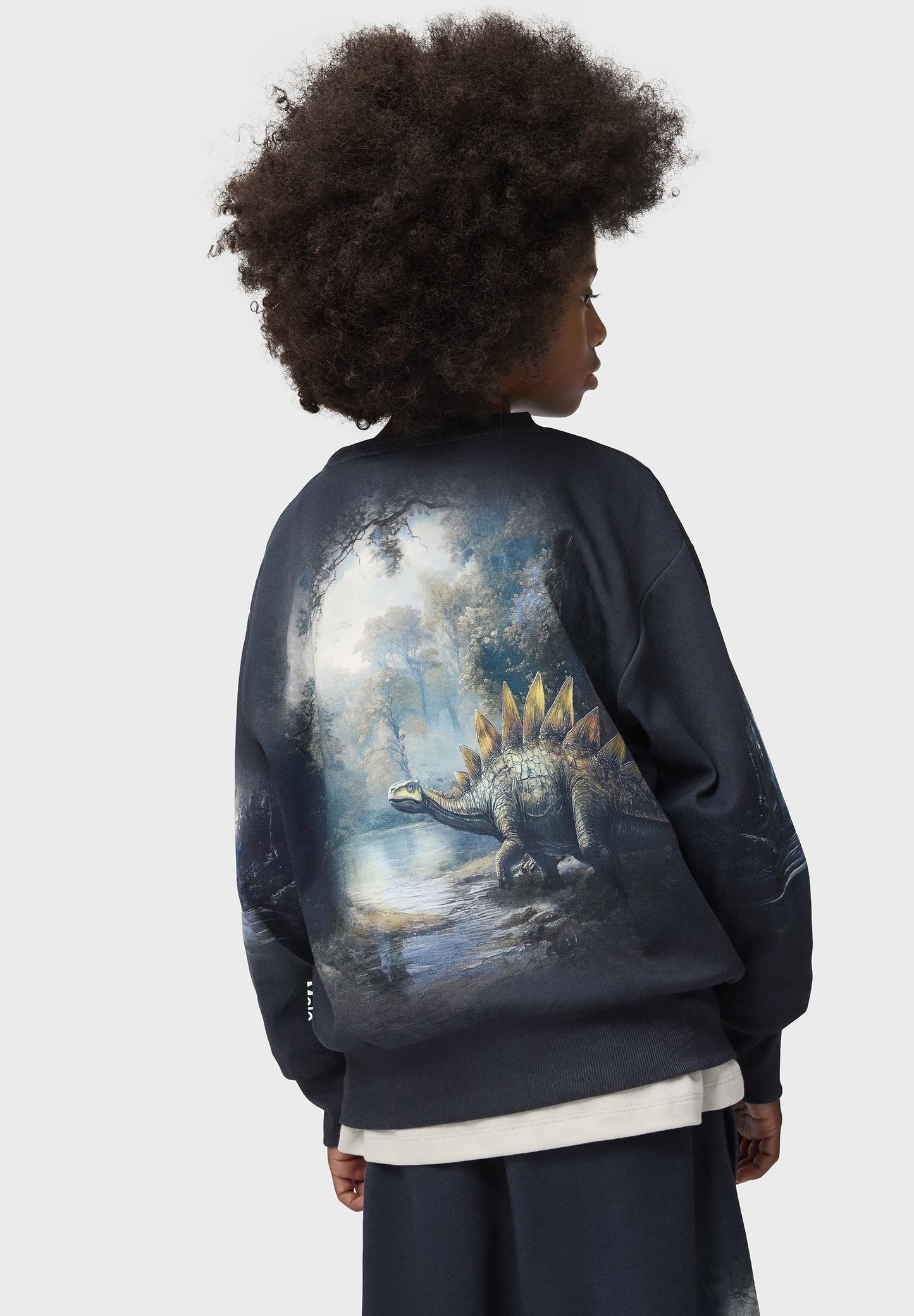 MOLO Sweatshirt - Mattis Twilight Dinos