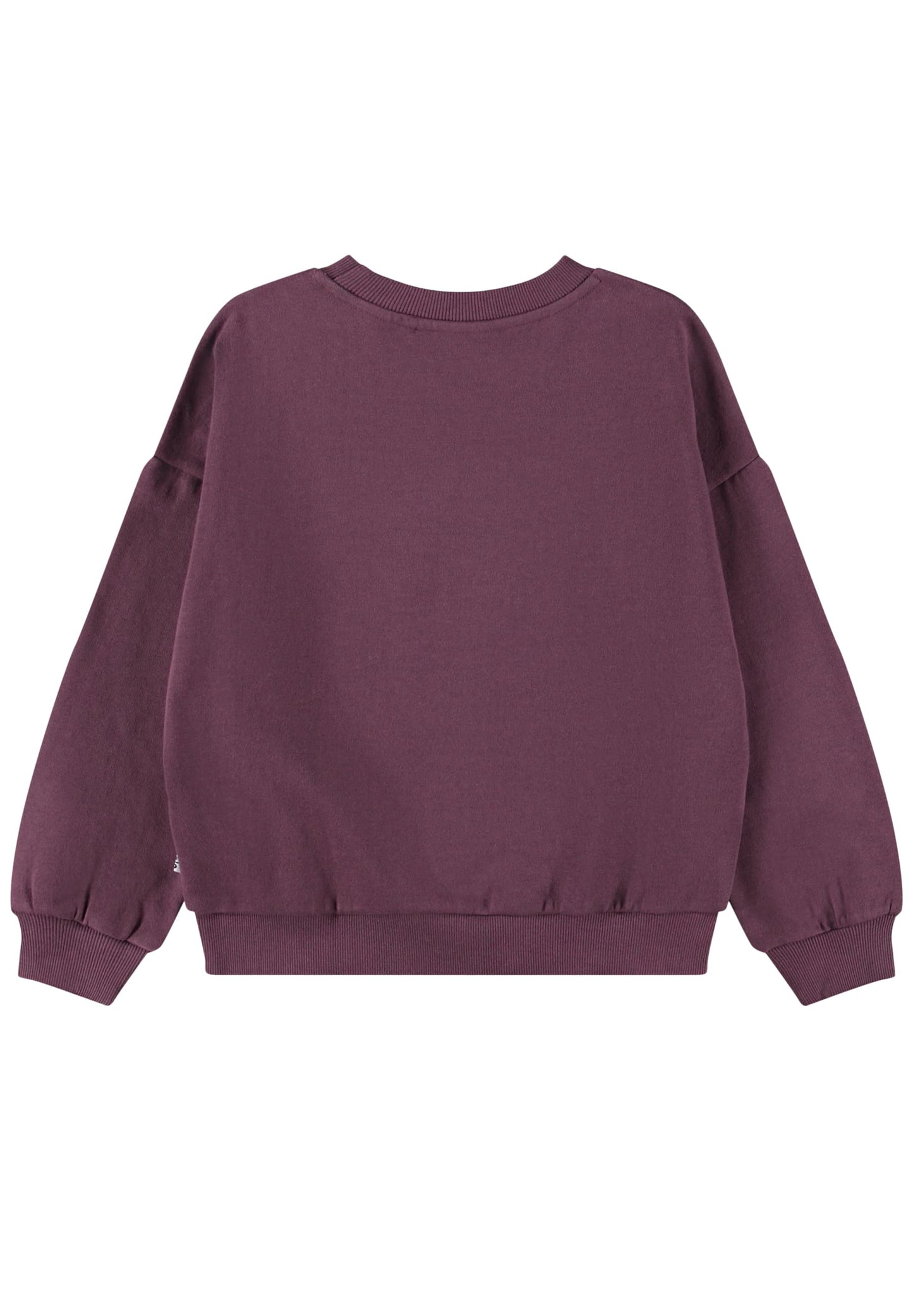 MOLO Sweatshirt - Maxi Sporty Tiger