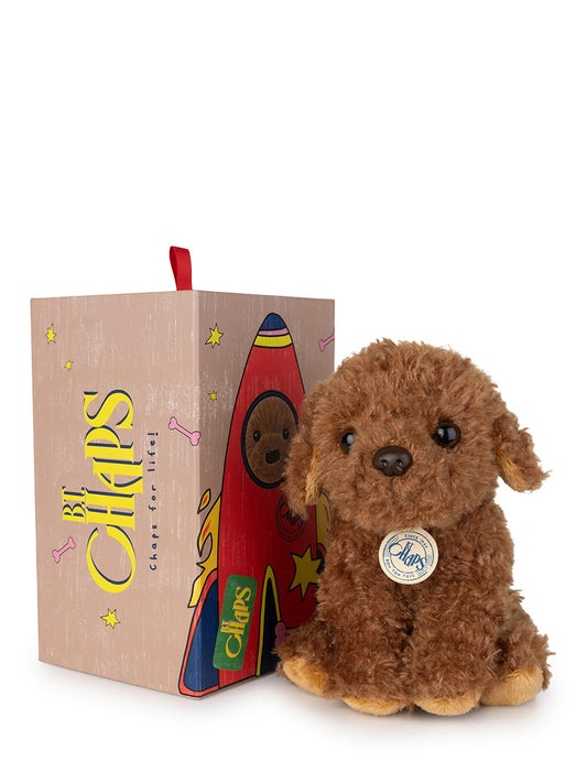 Stacy the Labradoodle in giftbox