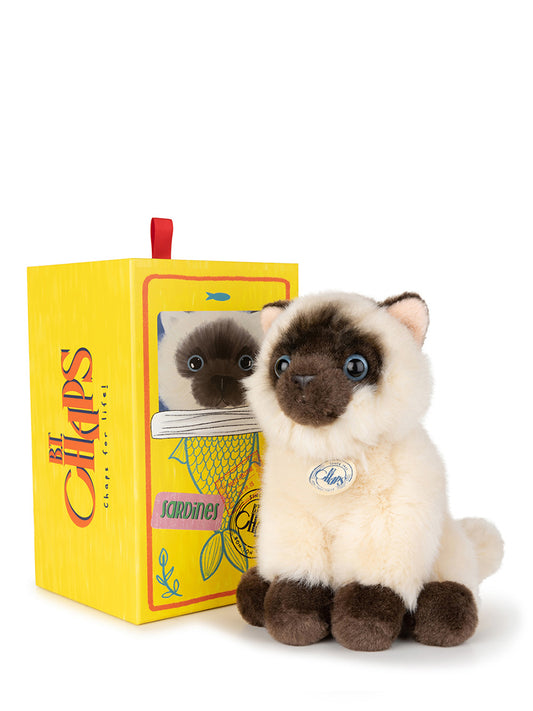 Eddie the Siamese in giftbox