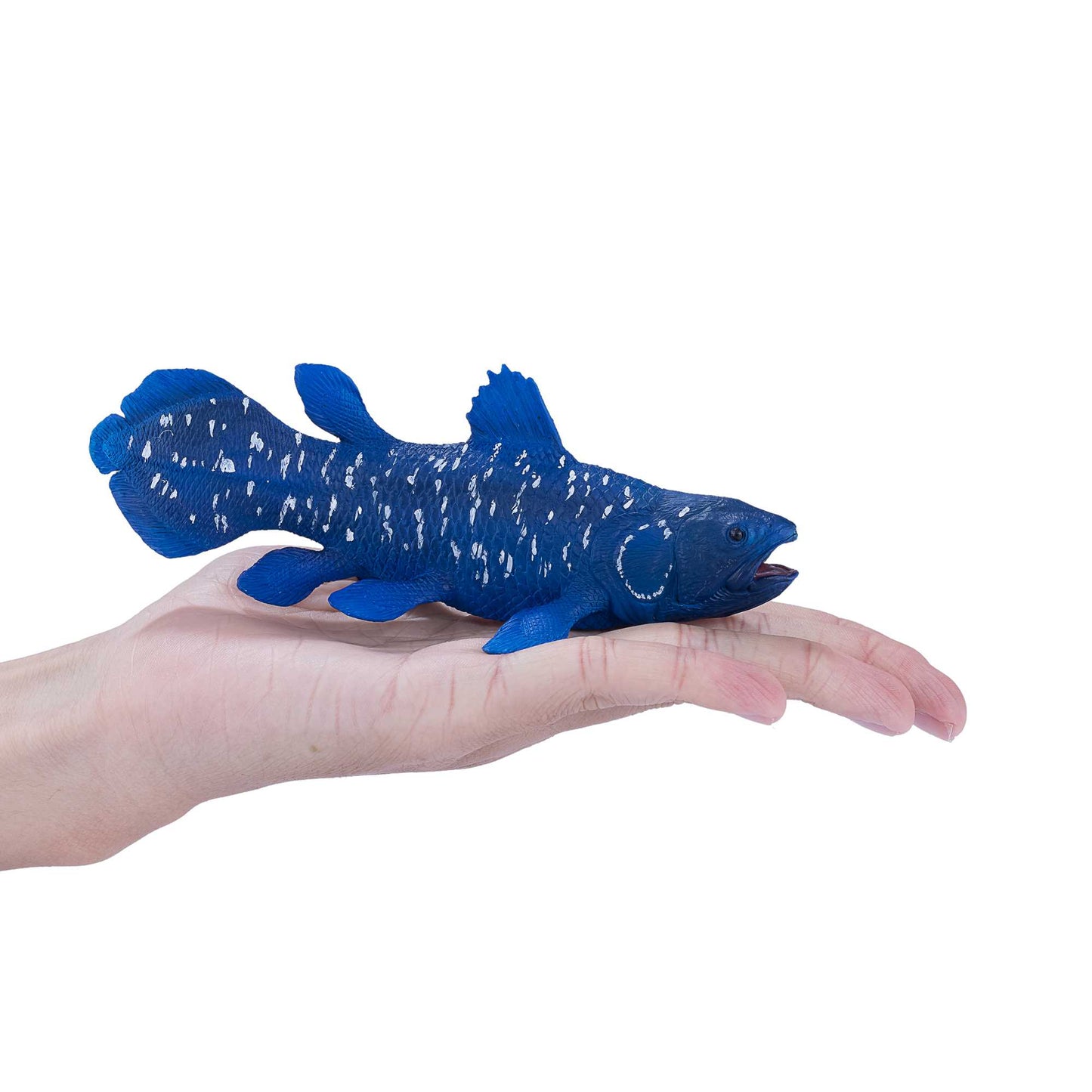 Mojo Coelacanths fisk
