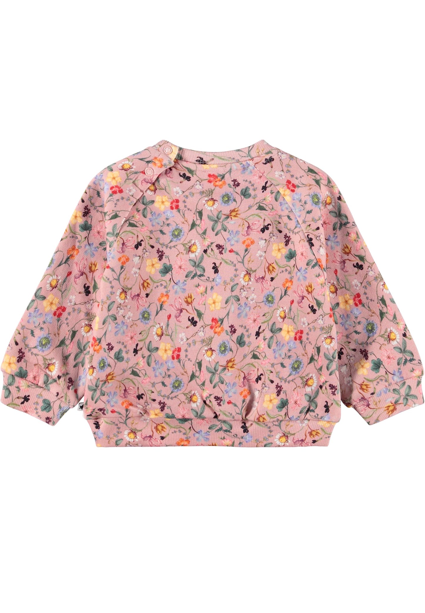 MOLO trøje - Disc Delicate Mini