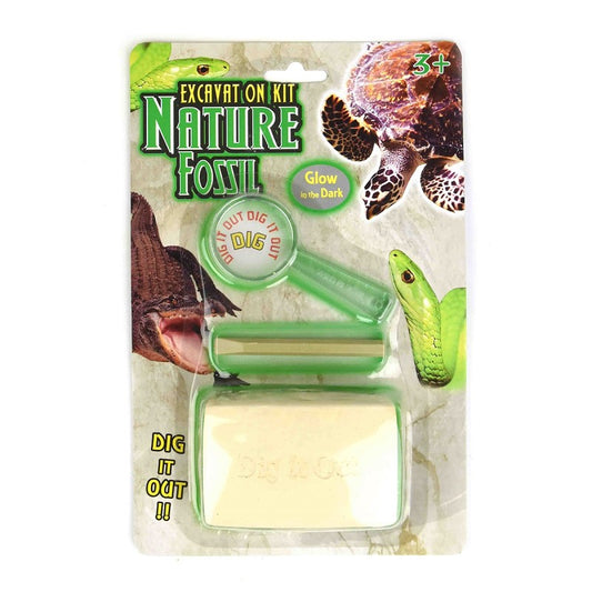DIG IT OUT NATURE FOSSIL