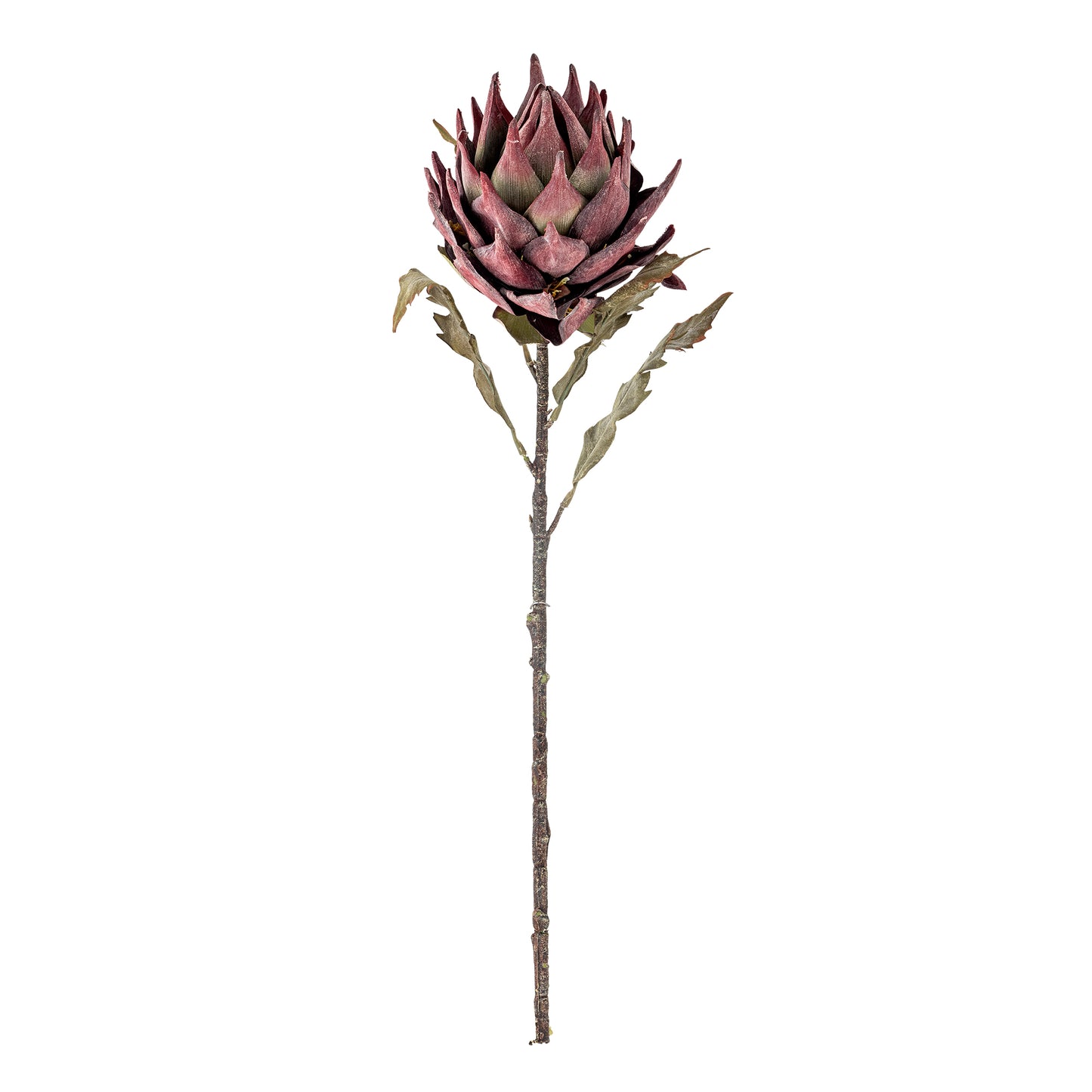 Protea Stilk - Lilla - Kunstige Blomster