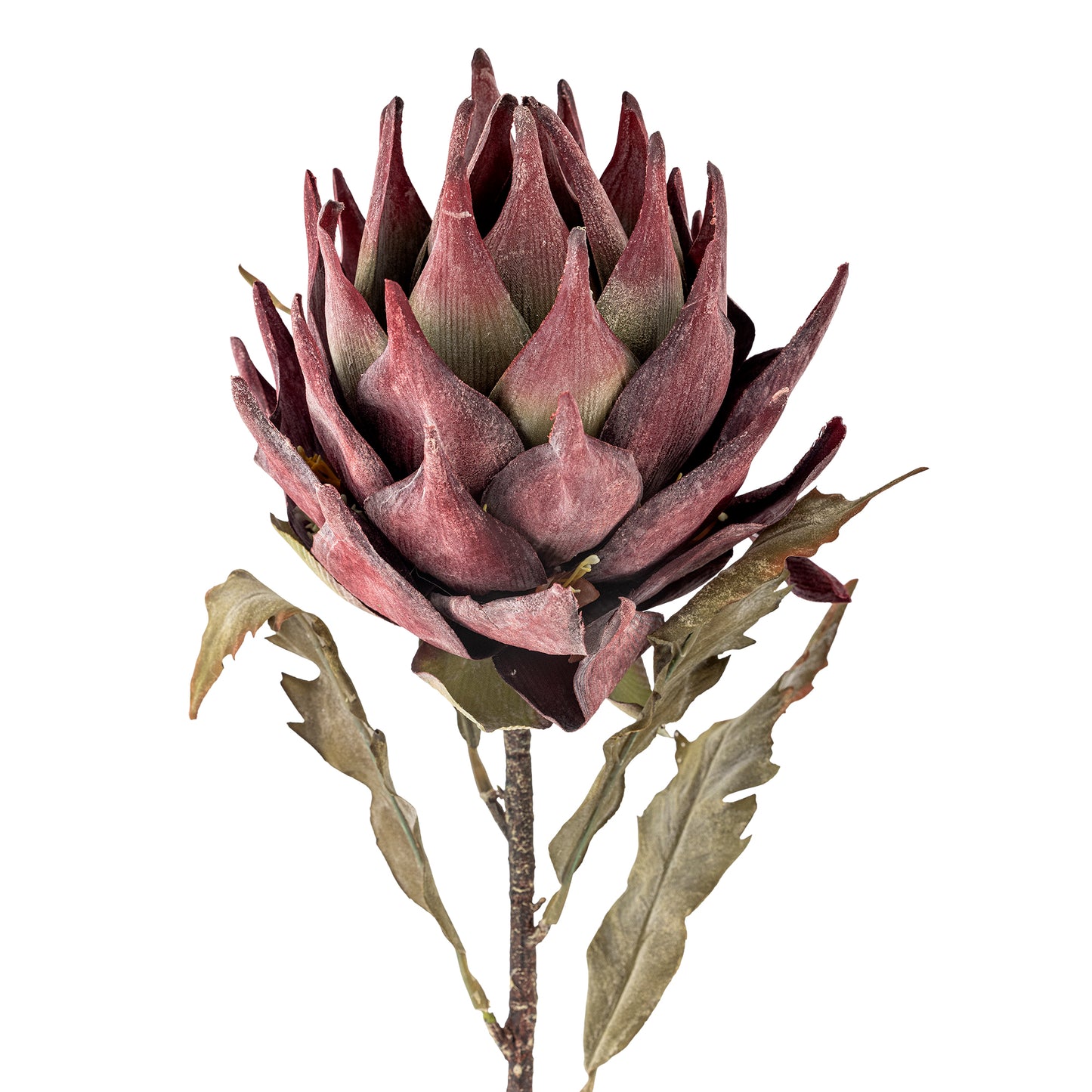 Protea Stilk - Lilla - Kunstige Blomster