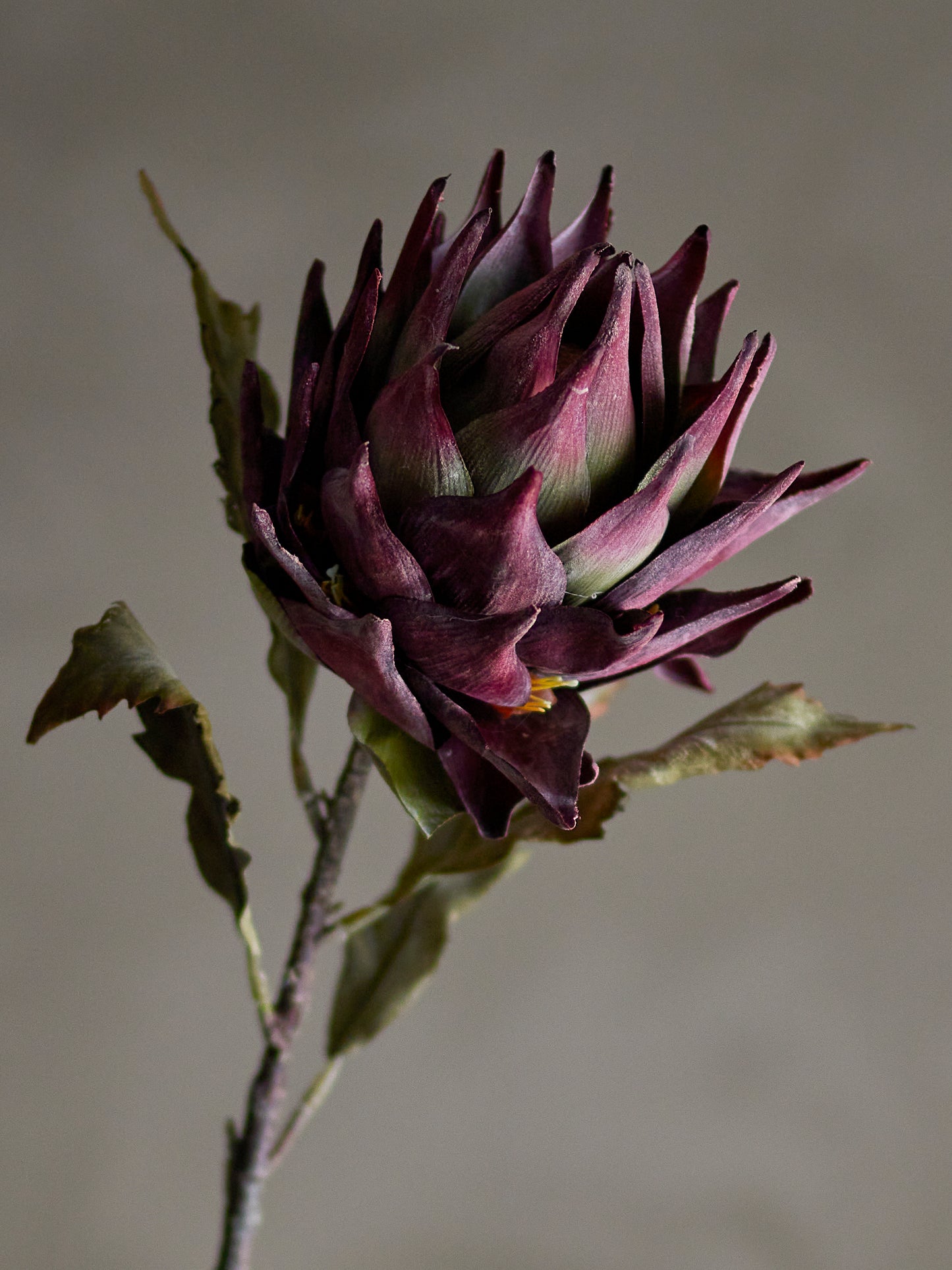 Protea Stilk - Lilla - Kunstige Blomster