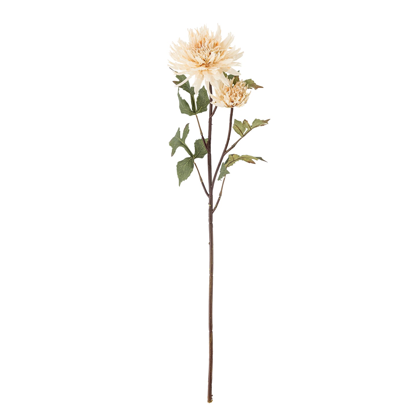 Chrysantemum Stilk - Natur - Kunstige Blomster