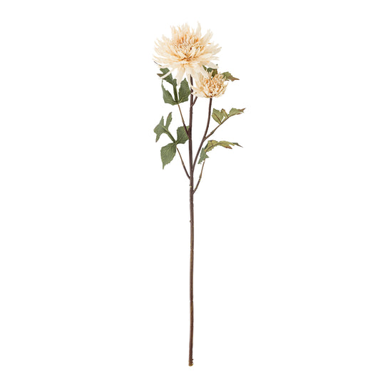 Chrysantemum Stilk - Natur - Kunstige Blomster