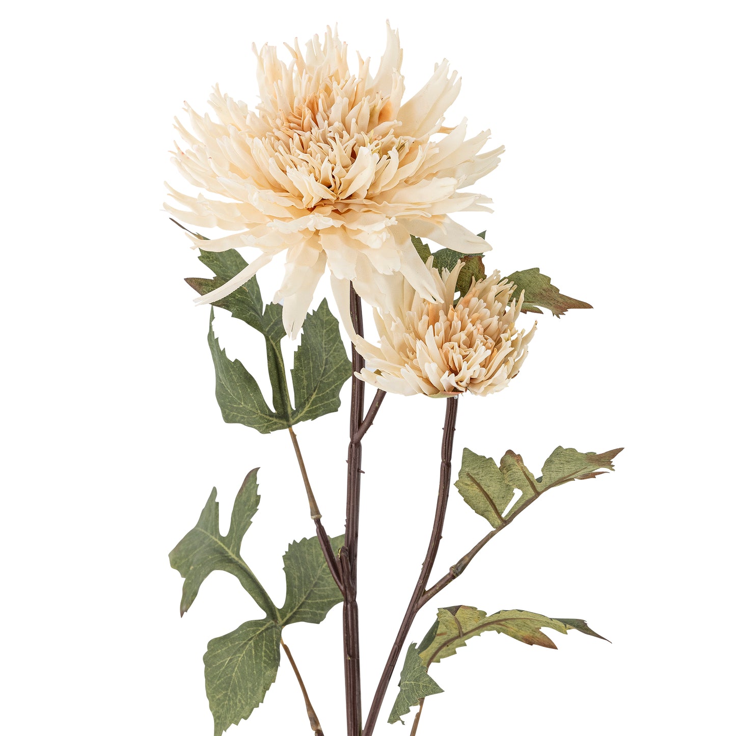 Chrysantemum Stilk - Natur - Kunstige Blomster