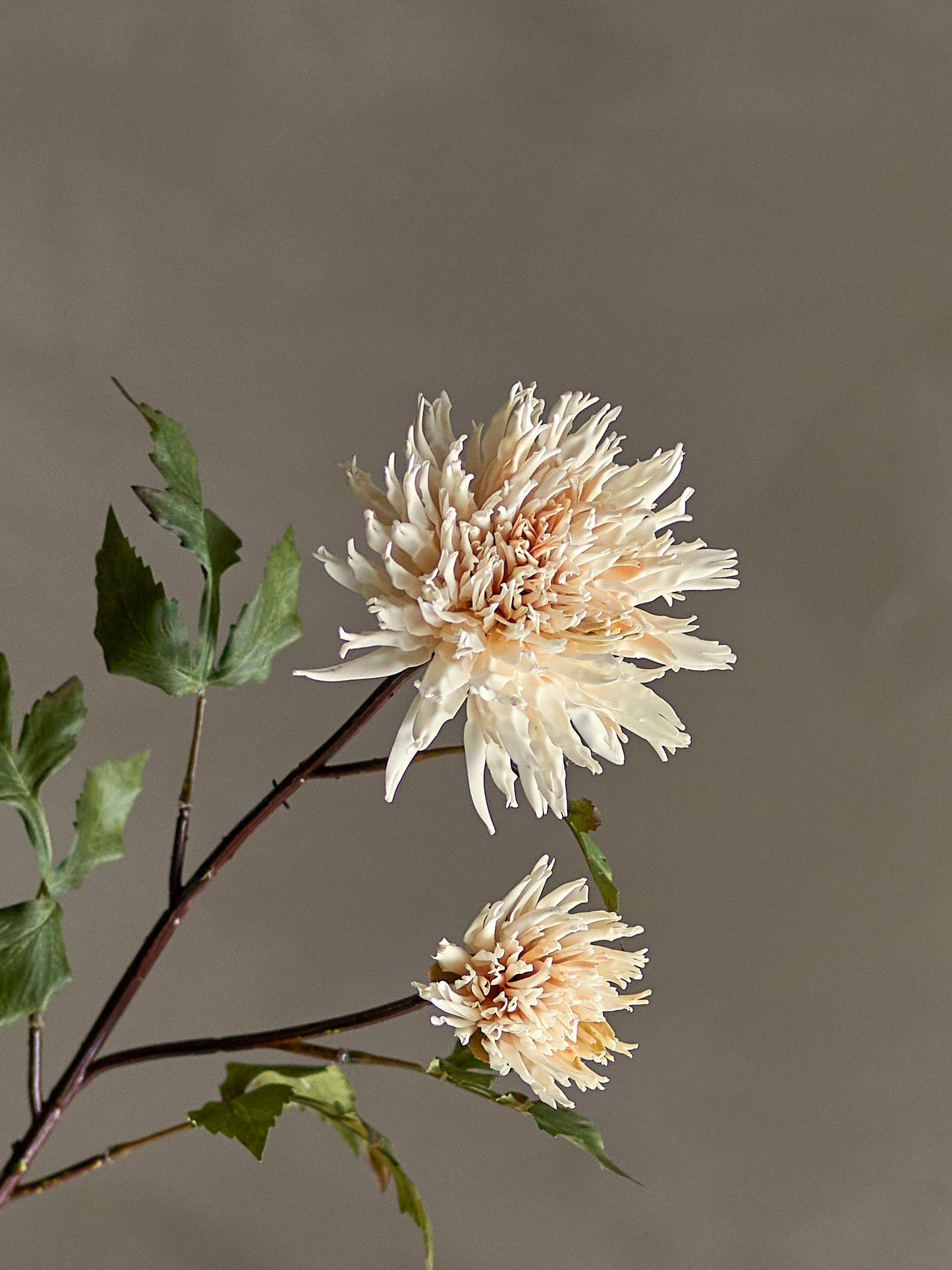 Chrysantemum Stilk - Natur - Kunstige Blomster